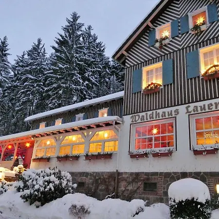 Hotel Waldhaus Lauenhain 3*