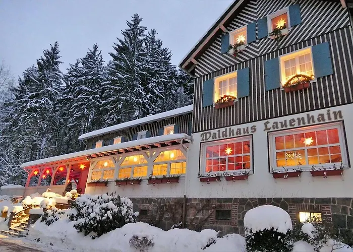 Hotel Waldhaus Lauenhain 3*